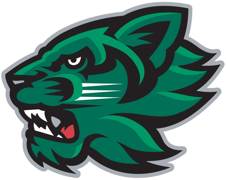 Binghamton Bearcats 2001-Pres Secondary Logo t shirts iron on transfers